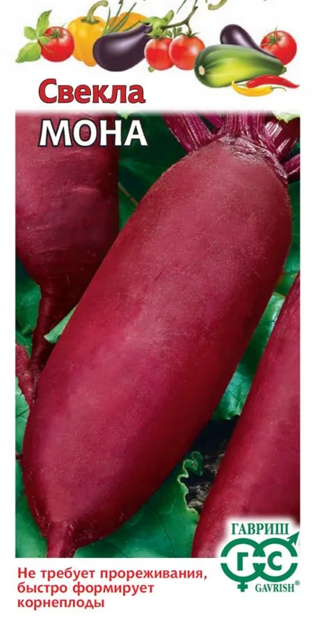 Свёкла Мона