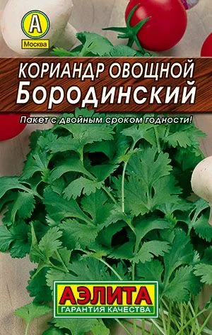 Кинза Кориандр овощной Бородинский