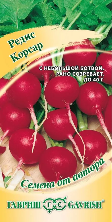 Редис Корсар