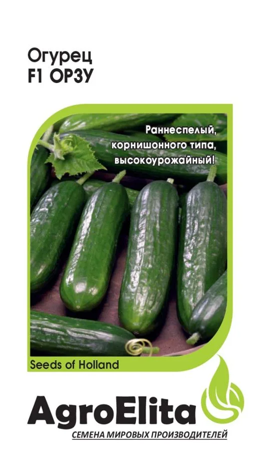 Огурец Орзу F1