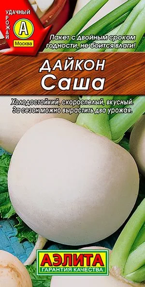 Редька Дайкон Саша