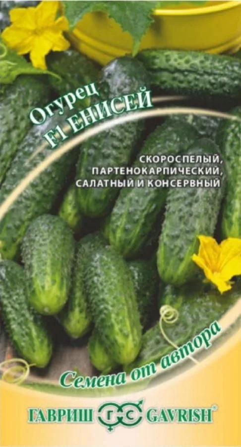 Огурец Енисей F1