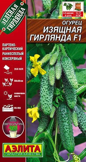 Семена: Огурец Изящная гирлянда F1