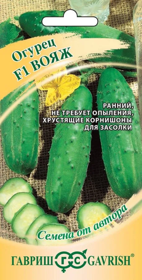 Семена: Огурец Вояж F1