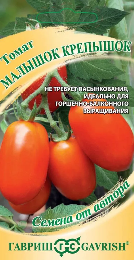 Томат Малышок крепышок