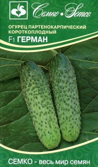 Огурец Герман F1
