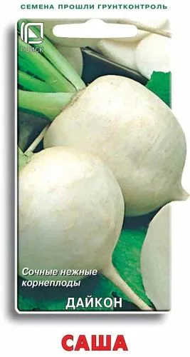 Редька Дайкон Саша