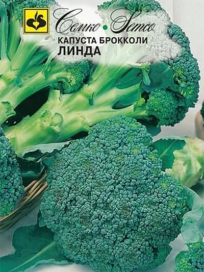Капуста Линда