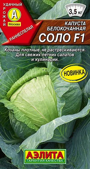 Семена: Капуста белокочанная Соло F1