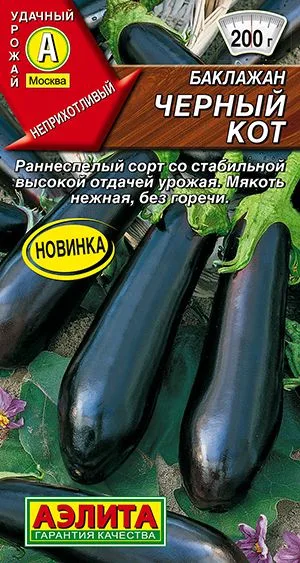 Баклажан Черный кот