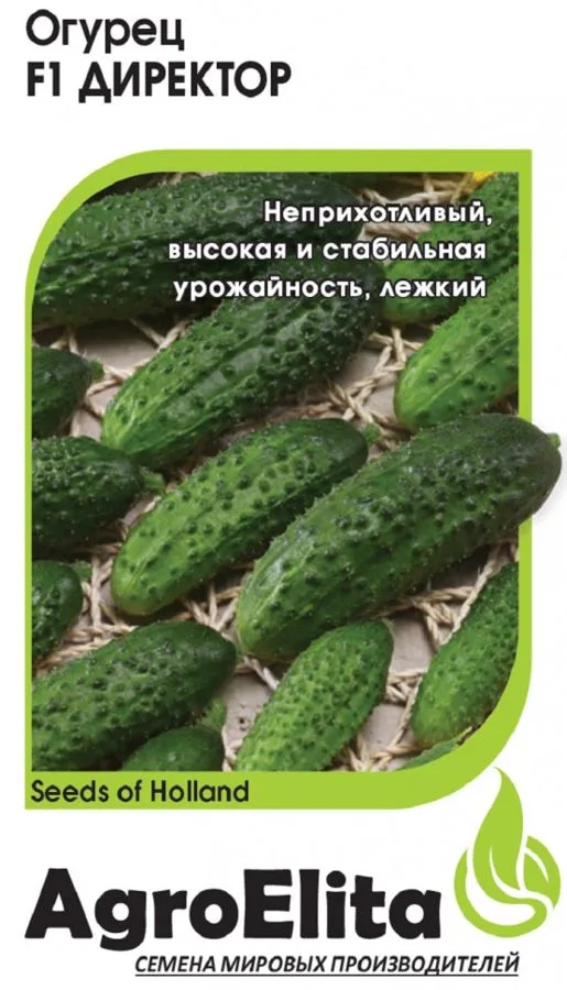 Огурец Директор F1