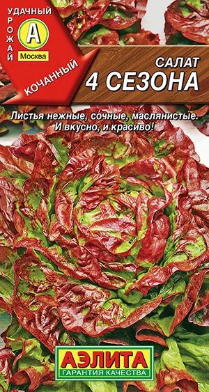 Салат 4 сезона кочанный