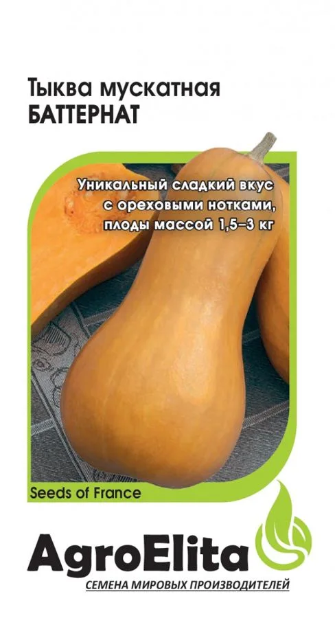 Тыква мускатная Баттернат