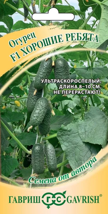 Огурец Хорошие ребята F1