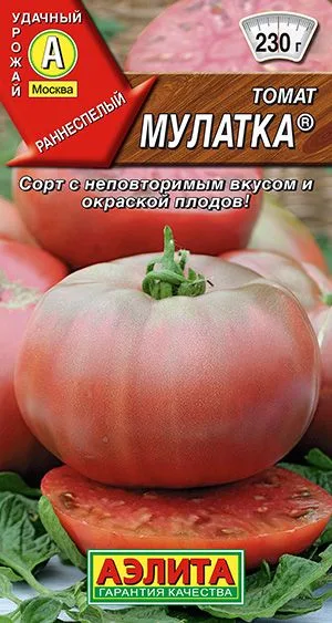 Томат Мулатка