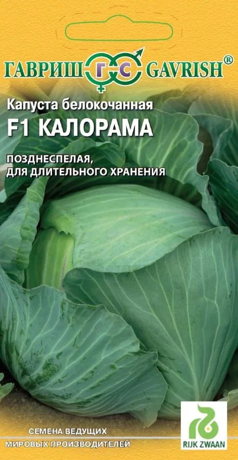 Семена: Капуста белокочанная Калорама F1