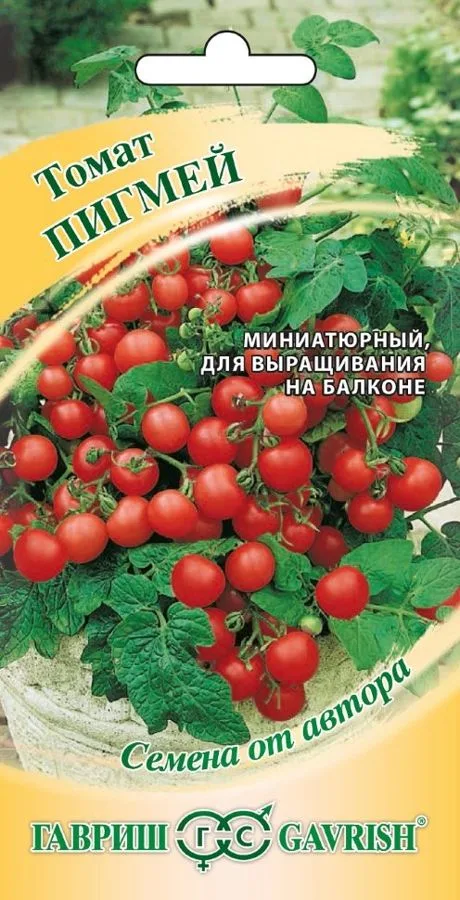 Томат Пигмей