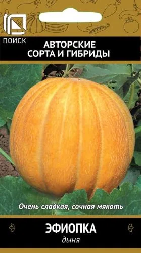 Дыня Эфиопка