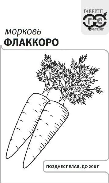 Морковь Флаккоро