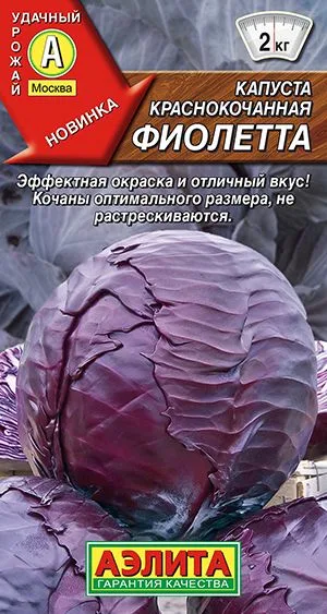 Капуста к/к Фиолетта