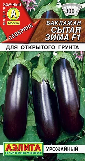 Баклажан Сытая зима F1