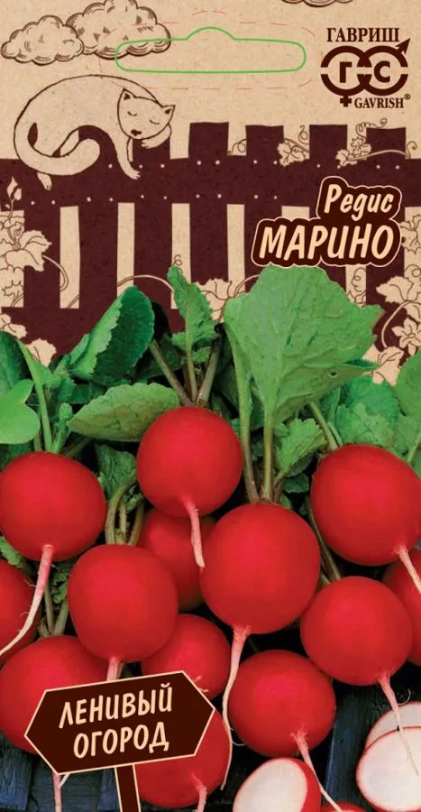 Редис Марино