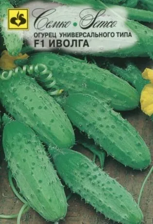 Огурец Иволга F1