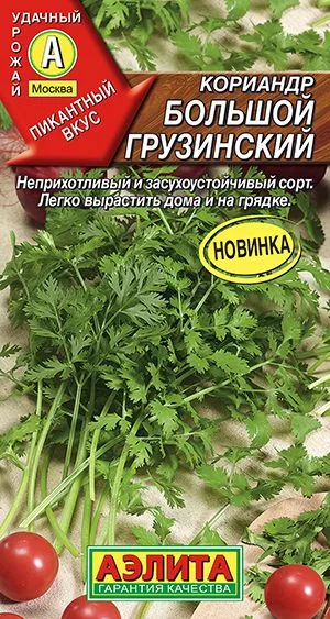 Кинза Кориандр Большой грузинский