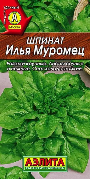 Салат Шпинат Илья Муромец