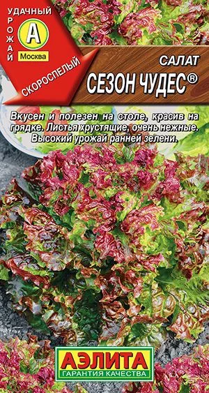 Салат Сезон чудес листовой