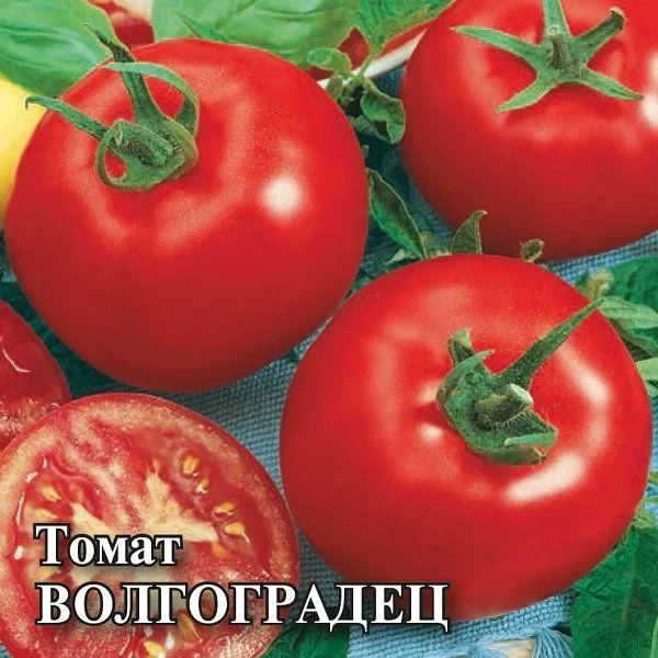 Семена: Томат Волгоградец