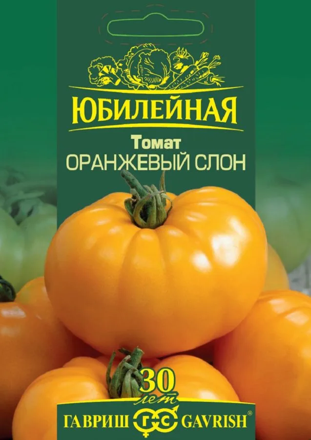 Томат Оранжевый слон