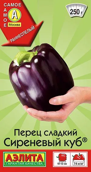 Перец сладкий Сиреневый куб