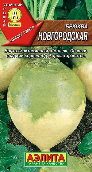 Репа Брюква Новгородская