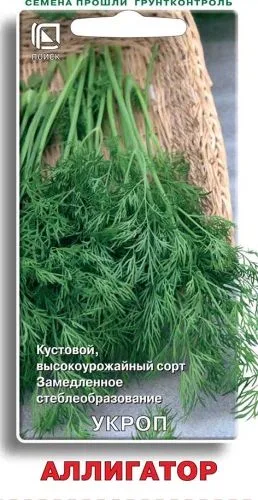 Укроп Аллигатор