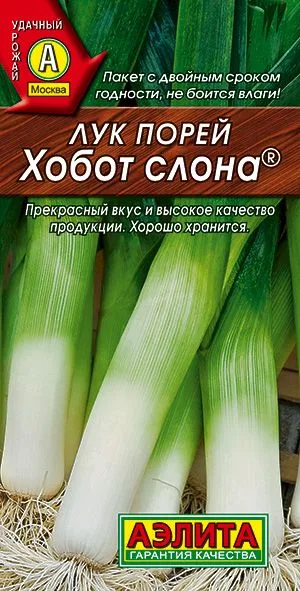 Лук порей Хобот слона
