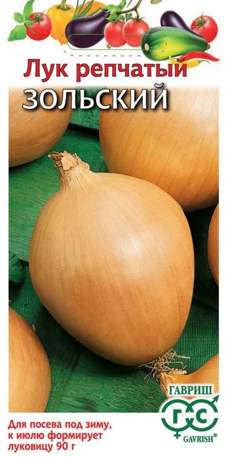 Лук репчатый Зольский