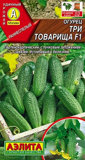 Огурец Три товарища F1