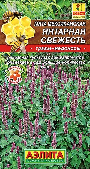 Пряные травы Мята мексиканская Янтарная свежесть
