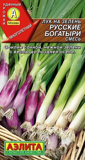 Лук на зелень Русские богатыри, смесь