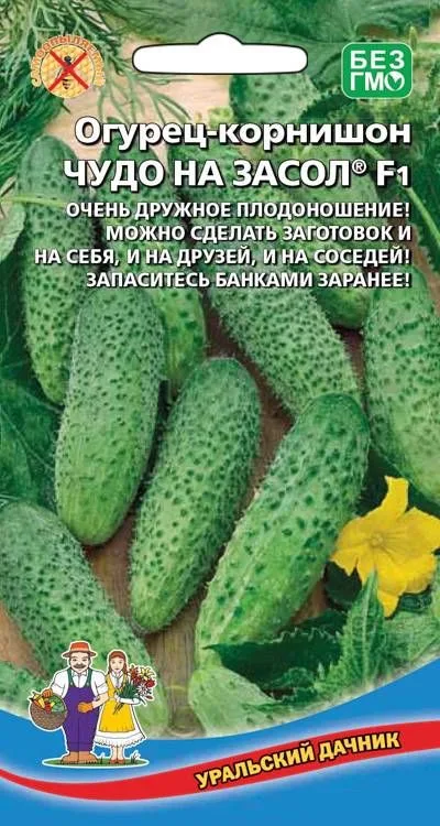 Огурец Чудо на засол F1