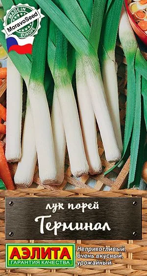 Лук порей Терминал