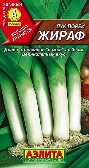 Лук порей Жираф