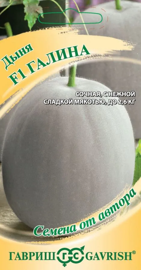 Дыня Галина F1