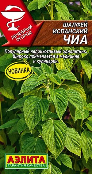 Лекарственные травы Шалфей испанский Чиа