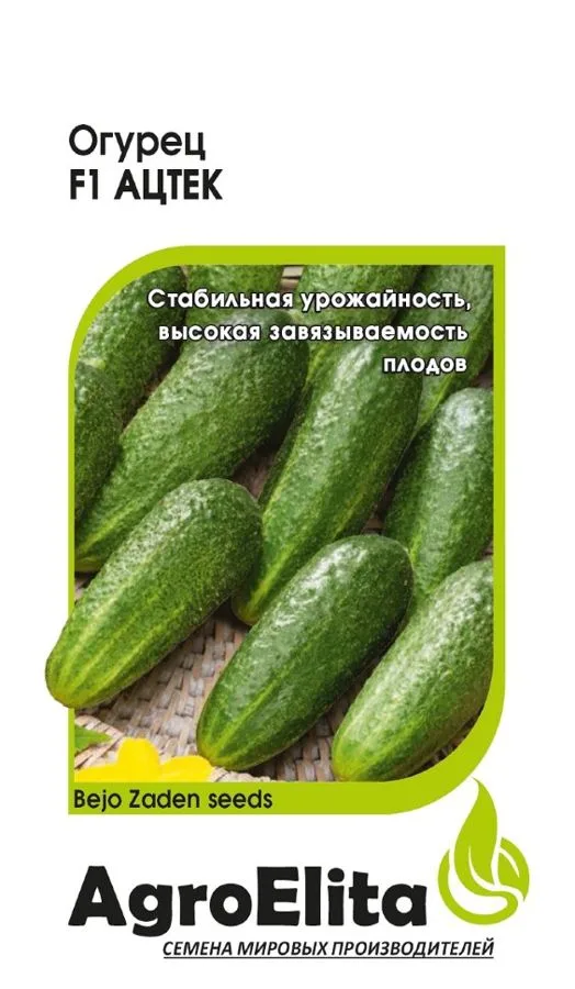 Семена: Огурец Ацтек F1