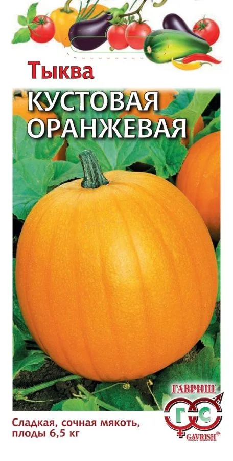 Тыква Кустовая оранжевая