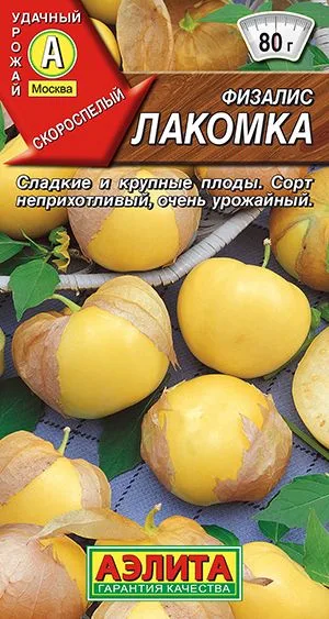 Земляника Физалис Лакомка