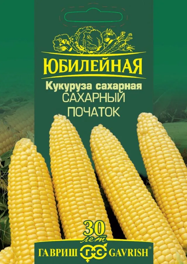 Кукуруза сахарная Сахарный початок