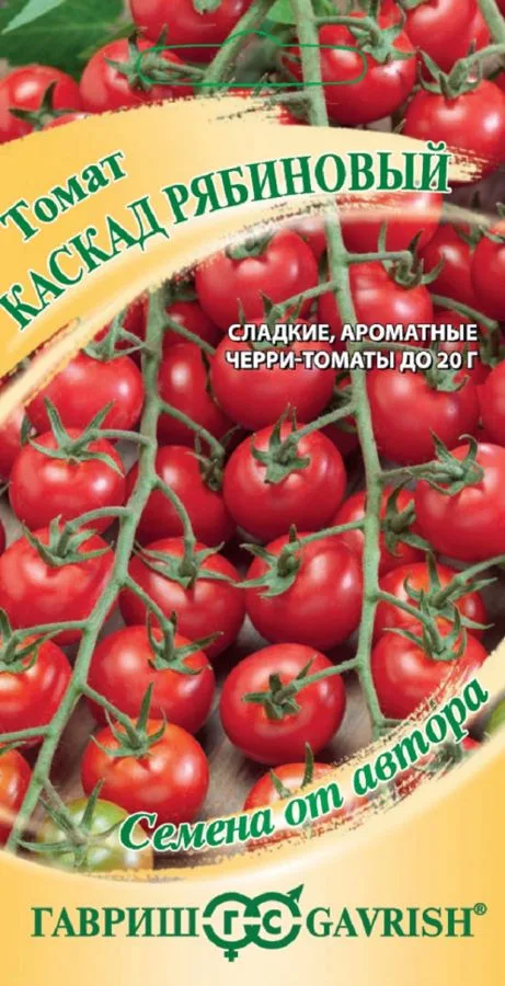 Томат Каскад рябиновый